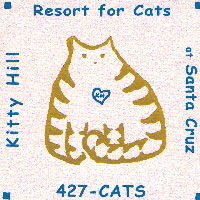 where your pet is pampered