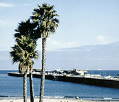 dining on Santa Cruz Wharf